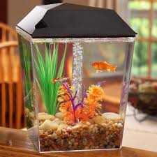 Aqua Culture One Gallon Aquarium Starter Kit With Led Walmart Com Aqua Culture Aquarium Goldfish Tank