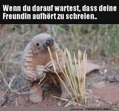Hier findest du 470 liebesprüche von romantisch bis hin zu herzzerreißend mit denen du bestimmt ins schwarze triffst und deine gefühle auf eine schöne art zum ausdruck. Ich Bin Dabei