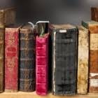 Dat heeft haar uitgever bekendgemaakt. De Zeven Zussen Deel 1 Lucinda Riley Hobby En Overige Boeken