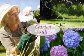 Es ist die schönste zeit juli ist schnittzeit. Gartenarbeit Im Juli Von Dungen Bis Wassern Das Steht Jetzt An Bildderfrau De