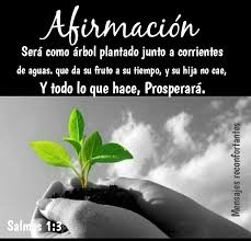 Tu Vida Sera Como Arbol Plantado Junto A Corrientes De Aguas Que Da Su Fruto En Su Tiempo Y Su Hoja No Cae Y Todo Lo Que Hace Prosperara Salmos 1 3 De