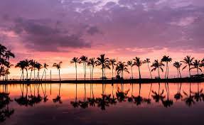 Maui paradise properties is a great examples of the aloha spirit. Maui Paradise Vacations Inc Home Facebook