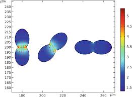 Was published in the lancet oncology. How Do Tumor Treating Fields Work Springerlink