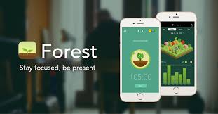 Com ele, você pode baixar e ler o livro que está procurando quando e onde. Forest Stay Focused Be Present