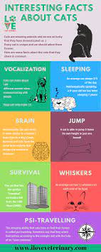 Interesting Facts About Cats Infographic Cat Facts Cat Infographic Fun Facts