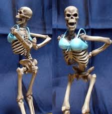 Skeletons don't have boobs, but they can try. | Skeletons | Know Your Meme