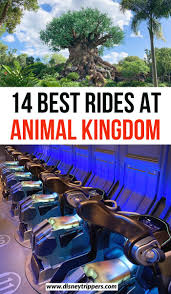 14 Best Animal Kingdom Rides And Attractions Not To Miss Disney Trippers In 2020 Animal Kingdom Rides Disney World Tips And Tricks Animal Kingdom
