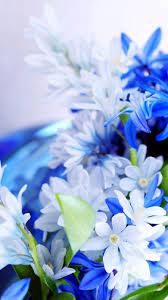 We did not find results for: Blue White Flowers Wallpaper Iphone Best Iphone Wallpaper White Flower Wallpaper Rose Flower Wallpaper Flower Wallpaper