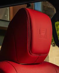 Image result for Manganese Luster 2025 LZ