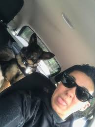 Have just had a recall letter from Suzuki for my 7 month old Swace (24  plate) for skid control ecu reprogramming. Has anyone had this done yet?  They say about an hour