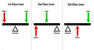 Introduce your child to simple machines with this worksheet. Simple Machines Class 6 Questions Answers