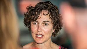 Kate Chaney 'absolutely' supports GST deal after fellow teal joins chorus  of east coast critics