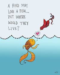 A Fish Fell In Love With A Bird How Foolish This Must Seem Could One Fly With Fins Could The Other Remove It Bird Quotes Foolish Quotes Falling In Love Quotes