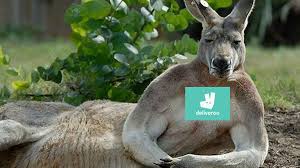 Lockdown threat looms as sydney covid cluster grows. Fpocb9baldcbhm