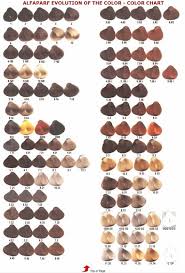 List Of Alfaparf Color Chart Pictures And Alfaparf Color