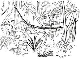 How To Draw A Rainforest Scene Jungle Drawing Rainforest Plants Plant Drawing