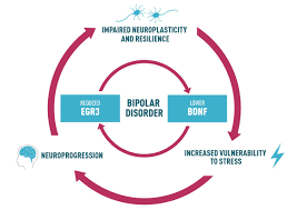 It causes a person to have cycles of extreme mood changes that go beyond normal ups and downs. A New Path Into Bipolar Disorder Comes To Light Eurekalert Science News