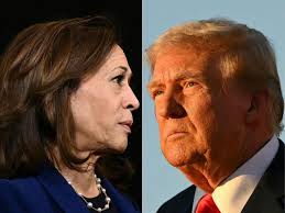 Kamala come Hillary: per la seconda volta una candidata perde contro Donald.  Dove va il sostegno delle donne