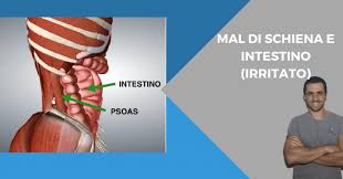 Mal Di Schiena Quando La Causa E In Realta Nell Intestino Irritato L Altra Riabilitazione