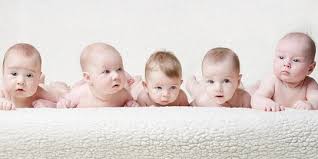 We did not find results for: 20 Nama Anak Perempuan Orang Orang Hebat Beserta Maknanya Jadi Inspirasi Merdeka Com