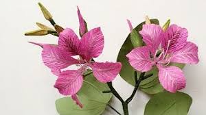 Pink paper flowers, pink paper flower tree, beach, seashore, sandy beach. 1 Abc Tv How To Make Butterfly Tree Paper Flower From Crepe Paper Craft Tutorial Abc Tv Abc Tv Yo Paper Flowers Diy Paper Flowers Paper Flower Tutorial