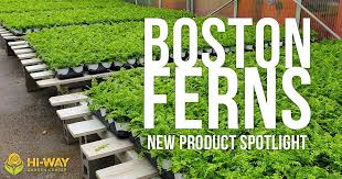 Maybe you would like to learn more about one of these? Hi Way Transit Garden Center Home Facebook