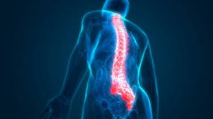In women, various reproductive organs located in the pelvis may lead to lower right back pain. 5 Signs Your Back Pain Might Be An Emergency Back And Spine Orthopaedics And Rehab Ut Southwestern Medical Center
