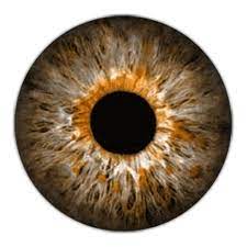 Lente06 Png 500 500 Eye Drawing Iris Eye Eye Texture