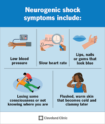 Neurogenic Shock: What It Is, Symptoms & Treatment