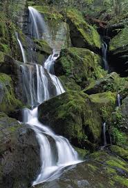 Great smoky mountains national park gezilecek yerler. Posterazzi Dpi1782667 Thousand Drips Waterfall Roaring Fork Area Great Smoky Mountains National Park Tennessee Usa Poster Print By Natural Selection Robert Cable 44 12 X 18 Buy Online In Barbados At Barbados Desertcart Com Productid