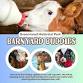 Barnyard Buddies: Annabelle's Wish event in Livonia, MI