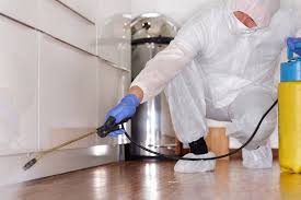 Bed bugs eggs and larvae don't die. Commercial Pest Control Treatment In Pimpri Chinchwad Pune Hometriangle