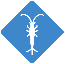In thane, is an innovative pest control solutions provider with an edge. Pest Control In Northern Va Chantilly Moxie Pest Control