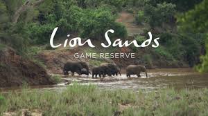 Chalkley treehouse © lion sands private game reserve from www.pinterest.com. Lion Sands Narina Lodge Kruger National Park Youtube