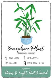 Maybe you would like to learn more about one of these? 11 Low Maintenance Houseplants With Health Benefits Balcony Garden Web