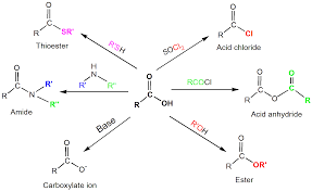 carboxylic acid reactions overview article khan academy