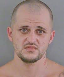 Deputies arrest convicted felon in Lexus with stun gun