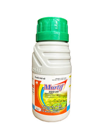 Mortif 333OD