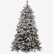 Choose from 19000+ christmas tree graphic resources and download in the form of png, eps, ai or psd. Transparent Christmas Tree Png Image With Transparent Background Toppng