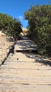 Image result for Lelya