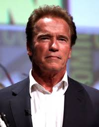 birth chart arnold schwarzenegger leo zodiac sign astrology