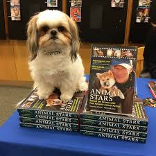 34 Stores That Don T Ask You To Leave Your Dog Outside While You Shop Dog Friendly Stores Dog Friends Pet Friendly Stores