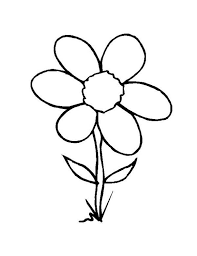 Cartoon snail crawling on the grass. Wild Grass Flower Coloring Page Netart