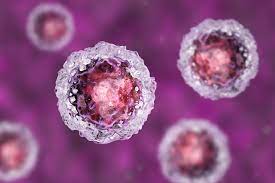 We did not find results for: Ghidul Mamei Informate Ce Sunt Celulele Stem Hematopoietice