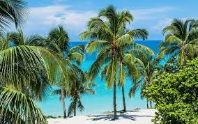 Welkom bij be live adults only los cactus! Hotel Terral Be Live Adults Only Los Cactus 4 Havana Up To 70 Voyage Prive