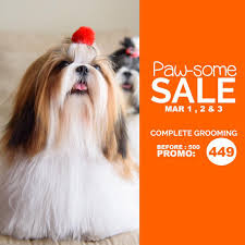 750 n maclay ave, san fernando, ca 91340 map & directions. Bl Pet Shoppe Big Big Sale In Sm Pampanga Big Facebook