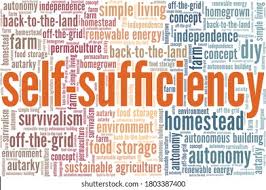 نتیجه جستجوی لغت [sufficiency] در گوگل