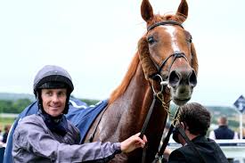 Cazoo derby (group 1) (british champions series) (class 1). Serpentine Goes From Maiden To Epsom Derby Winner In A Week Racenet