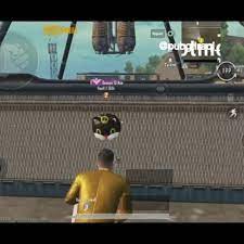 Pubg Cute Cat Video Videolar Bebek