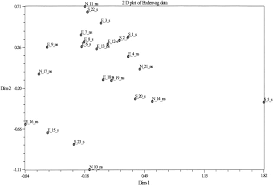 Image result for Bulbostylis oritrephes